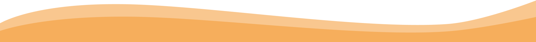 background section