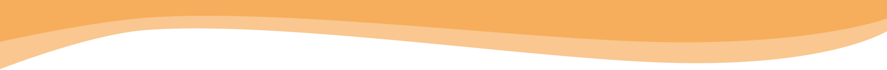 background section
