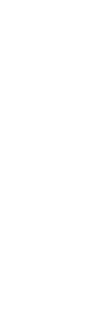background section