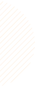 background section