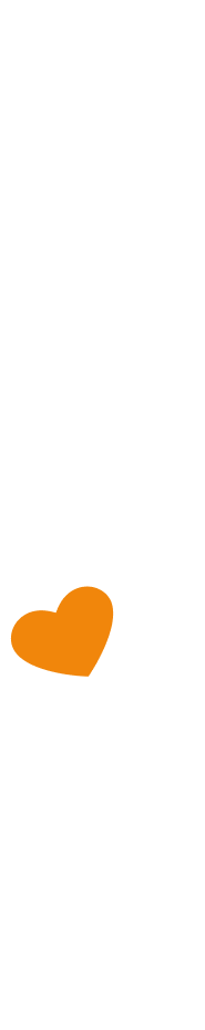 background section