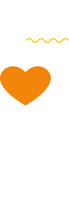 background section