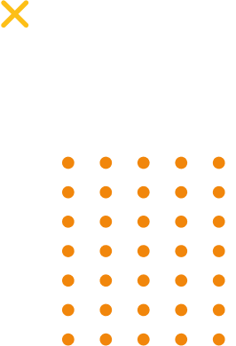 background section
