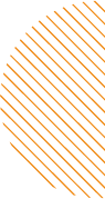 background section